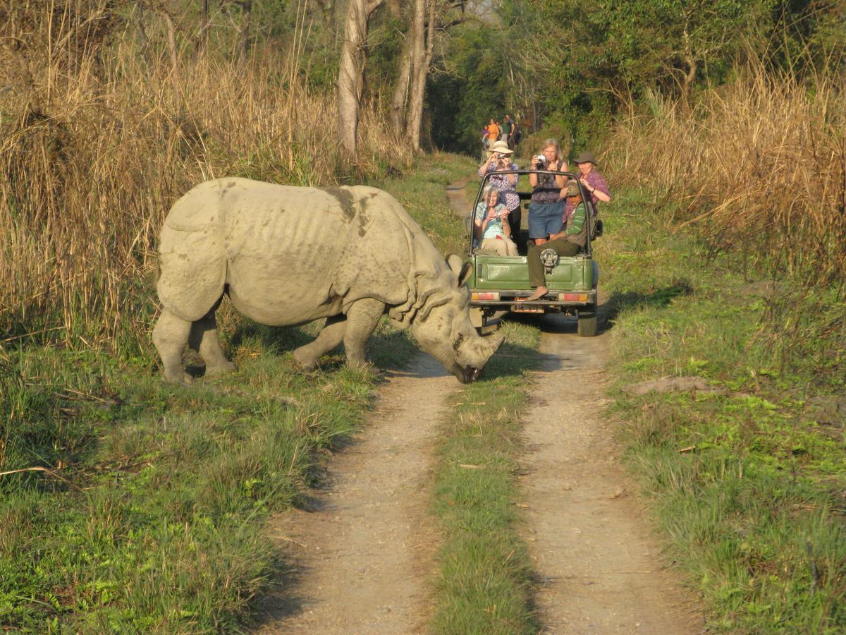 Rhino Land Jungle Lodge Sauraha Exteriér fotografie